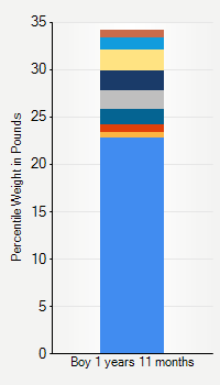 Weight chart for boys 1 year 11 months of age