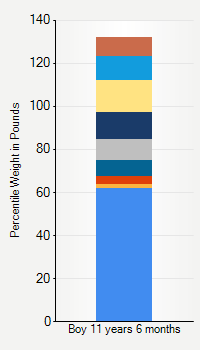 Weight chart for boys 11 years 6 months of age