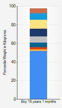 Weight chart for boys 18 years 1 month of age