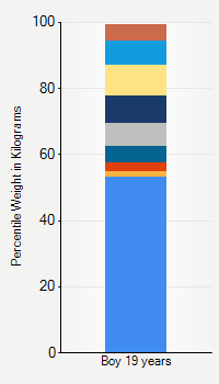 Weight chart for boys 19 years  of age