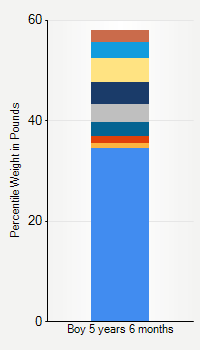 Weight chart for boys 5 years 6 months of age