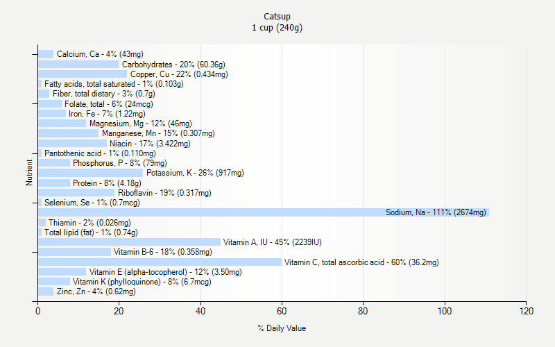 % Daily Value for Catsup 1 cup (240g)